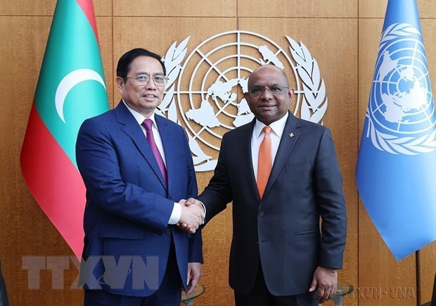 越南与联合国关系45周年:致力于和平、合作与发展的可靠伙伴 ảnh 3 越南与联合国关系45周年:致力于和平、合作与发展的可靠伙伴 ảnh 3