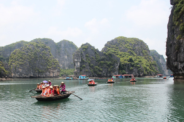 广宁省推动海水养殖与生态旅游融合发展 ảnh 2 广宁省推动海水养殖与生态旅游融合发展 ảnh 2