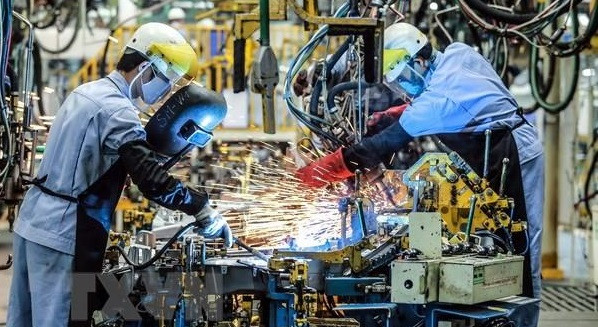 欧洲企业看好越南经济发展前景 ảnh 1 欧洲企业看好越南经济发展前景 ảnh 1