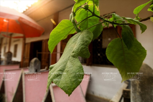 老挝琅勃拉邦的纱纸 ảnh 9