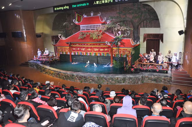 广宁省下龙市迎接4艘国际邮轮 承载游客6000多名 ảnh 2