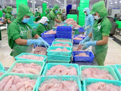 农业部门完成2017年各重要指标 ảnh 1 农业部门完成2017年各重要指标 ảnh 1