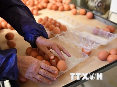 2017年十大国际经济新闻出炉 ảnh 10