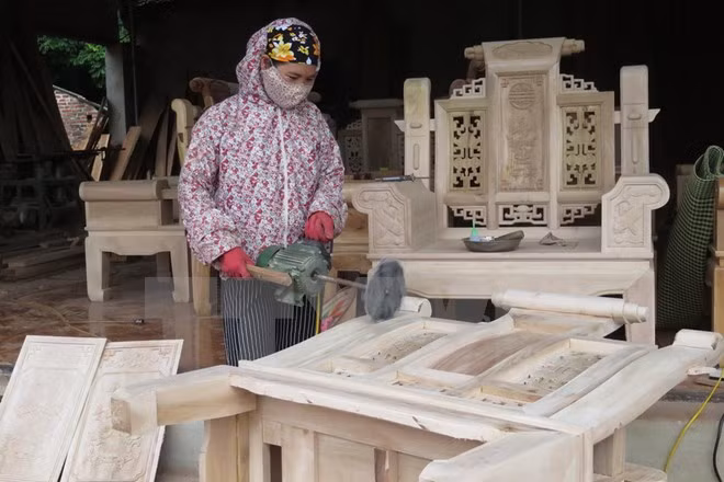 前8个月全国木材和木制品出口额达近44亿美元 ảnh 1