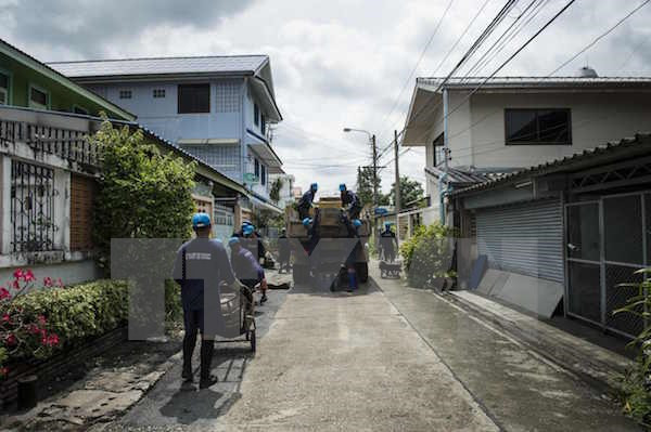 泰国曼谷发现21宗寨卡病例 ảnh 1 泰国曼谷发现21宗寨卡病例 ảnh 1