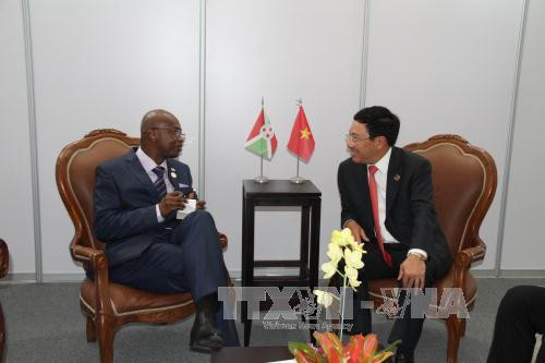 越南政府副总理兼外长范平明与各国元首和领导人进行双边会晤 ảnh 2 越南政府副总理兼外长范平明与各国元首和领导人进行双边会晤 ảnh 2