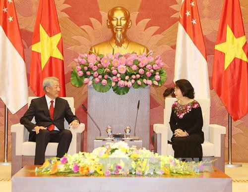 越南国会主席阮氏金银会见新加坡副总理张志贤 ảnh 1 越南国会主席阮氏金银会见新加坡副总理张志贤 ảnh 1