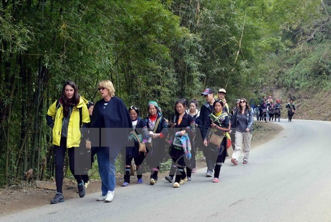 北美日渐成为越南旅游业的重要国际客源市场 ảnh 1 北美日渐成为越南旅游业的重要国际客源市场 ảnh 1