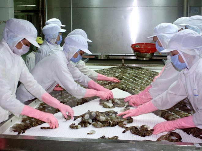 越南虾类对中国出口呈现起色 ảnh 1