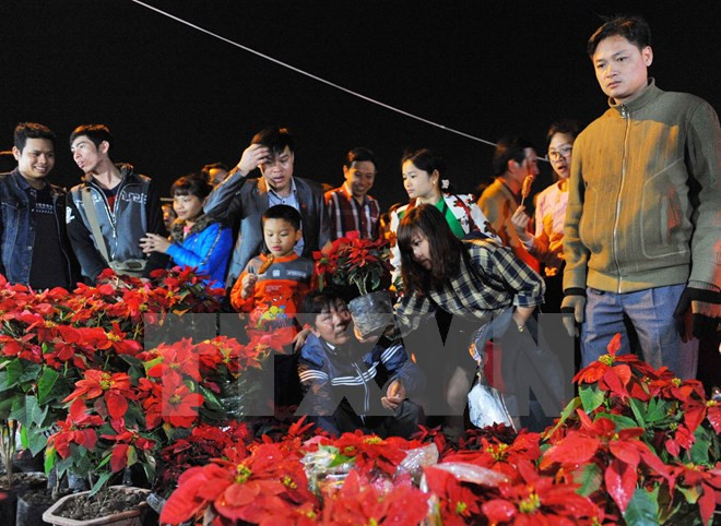 越南南定省旺市--祈求幸运的集市 ảnh 1 越南南定省旺市--祈求幸运的集市 ảnh 1