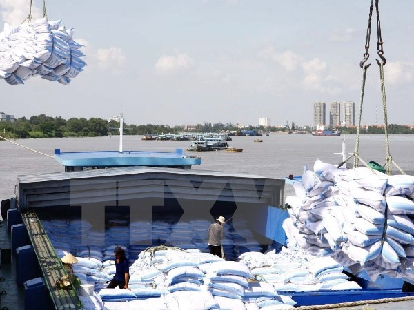 越南九龙江三角洲:大米与水果出口前景看好 ảnh 1 越南九龙江三角洲:大米与水果出口前景看好 ảnh 1