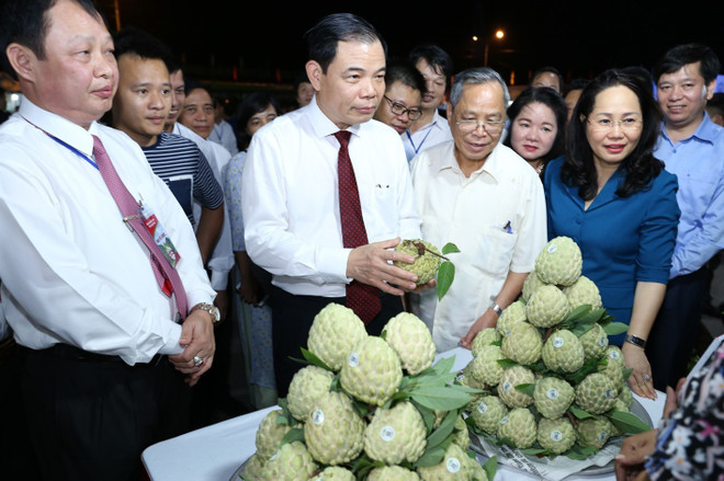 谅山省第二次支棱番荔枝节吸引数万人次参观 ảnh 2 谅山省第二次支棱番荔枝节吸引数万人次参观 ảnh 2
