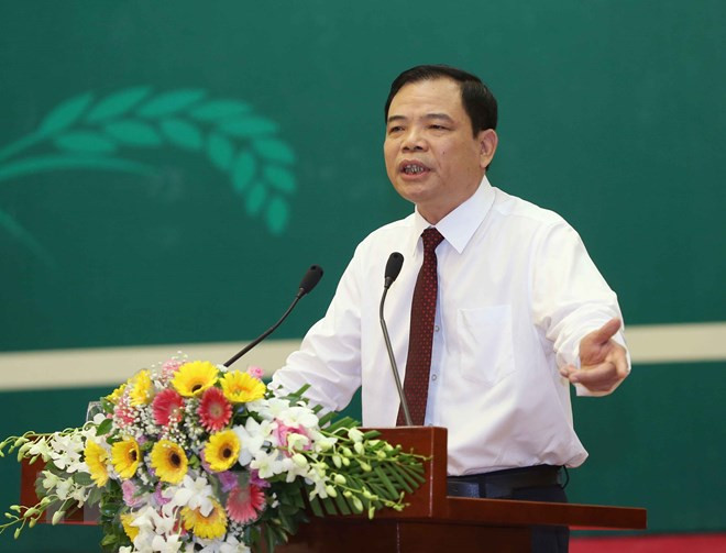 越南政府副总理王廷惠:成立合作社是强制性任务 ảnh 2 越南政府副总理王廷惠:成立合作社是强制性任务 ảnh 2