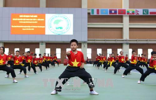 2018年第二次越南传统武术国际锦标赛正式开赛 ảnh 2 2018年第二次越南传统武术国际锦标赛正式开赛 ảnh 2