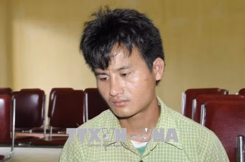乂安省边防部队抓获一起涉嫌运输合成毒品的老挝犯罪嫌疑人 ảnh 1