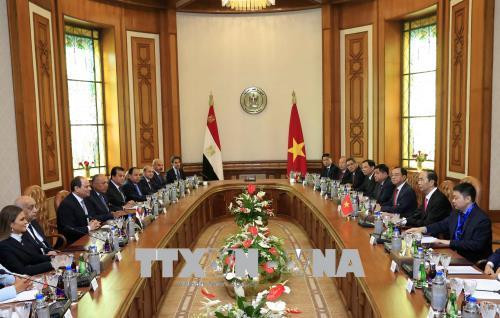 越南国家主席陈大光与埃及总统阿卜杜勒·法塔赫·塞西举行会谈 ảnh 2 越南国家主席陈大光与埃及总统阿卜杜勒·法塔赫·塞西举行会谈 ảnh 2