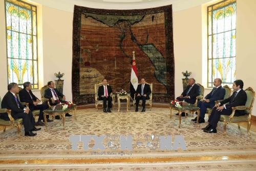 越南国家主席陈大光与埃及总统阿卜杜勒·法塔赫·塞西举行会谈 ảnh 1 越南国家主席陈大光与埃及总统阿卜杜勒·法塔赫·塞西举行会谈 ảnh 1