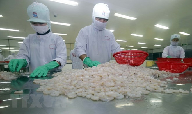 越南企业与马来西亚企业加强沟通对接 ảnh 1 越南企业与马来西亚企业加强沟通对接 ảnh 1