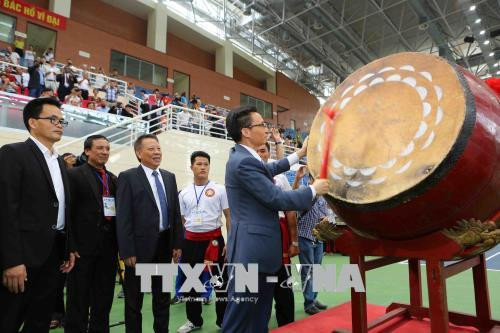 2018年第二次越南传统武术国际锦标赛正式开赛 ảnh 1 2018年第二次越南传统武术国际锦标赛正式开赛 ảnh 1