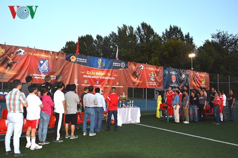 2018年旅俄越南人足球比赛圆满落幕 ảnh 1