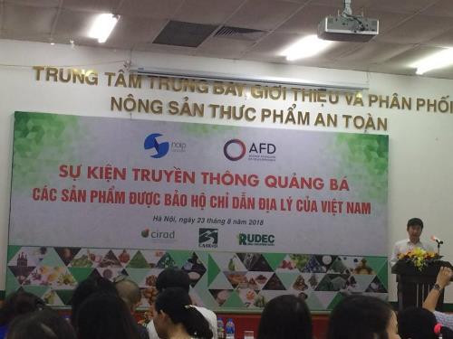 越南进一步加大地理标志产品保护工作力度 ảnh 1 越南进一步加大地理标志产品保护工作力度 ảnh 1