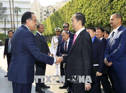 陈大光建议埃及政府为越南农水产品打入埃及连锁超市创造便利条件 ảnh 1 陈大光建议埃及政府为越南农水产品打入埃及连锁超市创造便利条件 ảnh 1