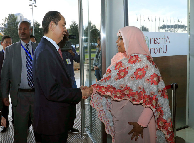 越南国家主席陈大光会见非洲联盟委员会代理主席 ảnh 1