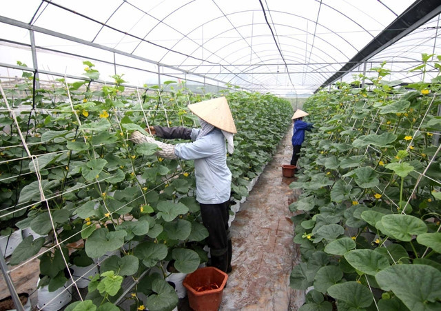 大力开展科技研究 服务新农村建设 ảnh 1 大力开展科技研究 服务新农村建设 ảnh 1