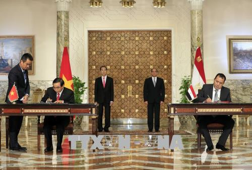 越南国家主席陈大光与埃及总统阿卜杜勒·法塔赫·塞西举行会谈 ảnh 3 越南国家主席陈大光与埃及总统阿卜杜勒·法塔赫·塞西举行会谈 ảnh 3