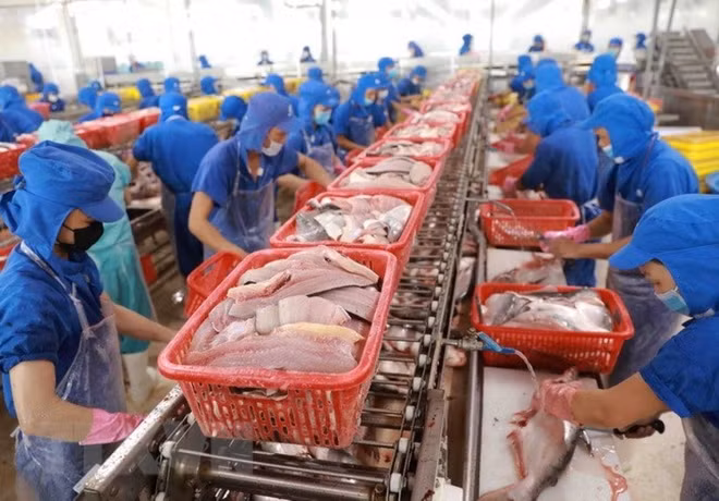 金瓯省多措并举 增加出口金额 ảnh 2