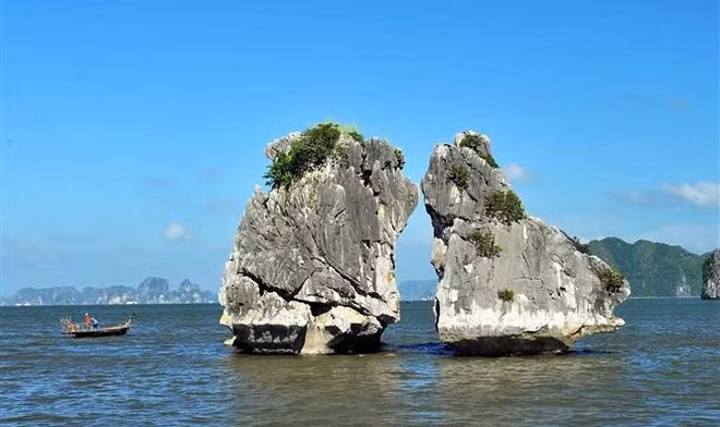 越南旅游业向游客敞开大门 ảnh 3