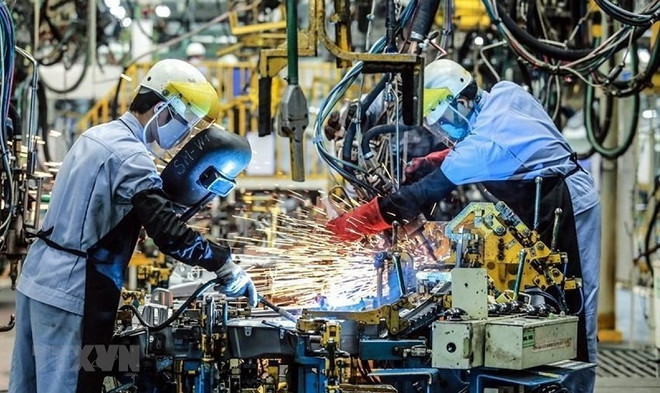 经济专家：越南将在风波中站稳脚跟 ảnh 1