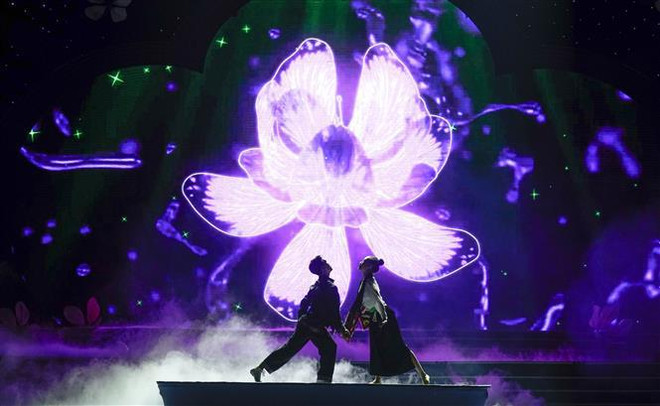 奠边省2022年羊蹄甲花节正式开幕 ảnh 2 奠边省2022年羊蹄甲花节正式开幕 ảnh 2