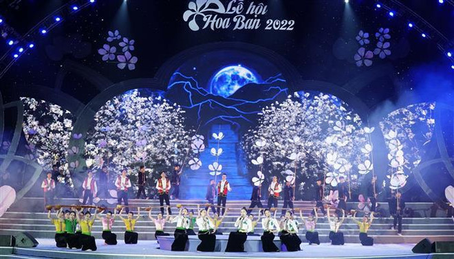 奠边省2022年羊蹄甲花节正式开幕 ảnh 1 奠边省2022年羊蹄甲花节正式开幕 ảnh 1