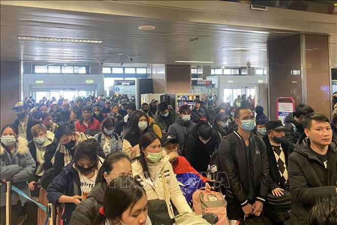 越南公民保护工作：4600多名越南公民从乌克兰撤离到周边国家 ảnh 1