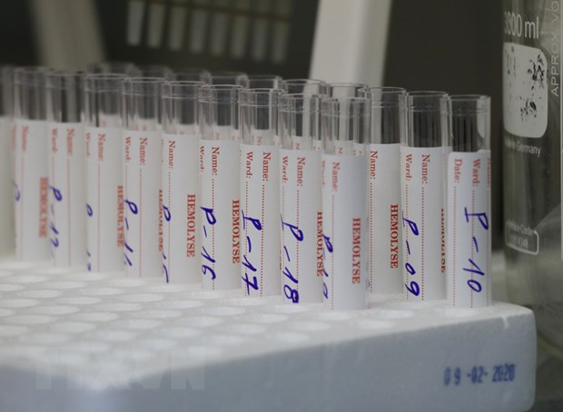 3月12日越南新增确诊病例168719例 河内市补充报告19.5万例 ảnh 1 3月12日越南新增确诊病例168719例 河内市补充报告19.5万例 ảnh 1