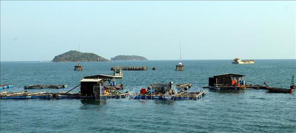 富国市多措并举 把其优势充分发挥出来 ảnh 3 富国市多措并举 把其优势充分发挥出来 ảnh 3