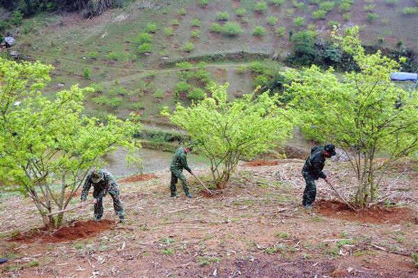 越南陆地边境地区经济社会发展的五项核心任务和措施 ảnh 1 越南陆地边境地区经济社会发展的五项核心任务和措施 ảnh 1