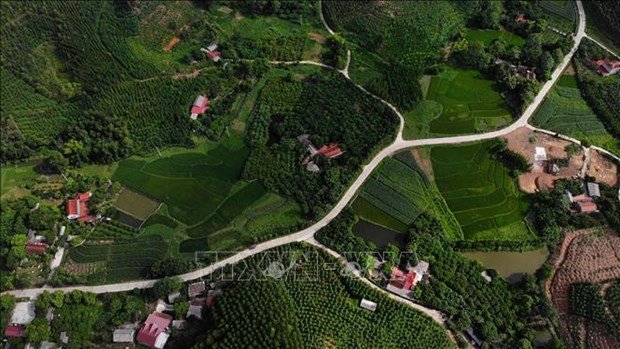 北江省注重提高山区和少数民族地区群众的生活水平 ảnh 1 北江省注重提高山区和少数民族地区群众的生活水平 ảnh 1