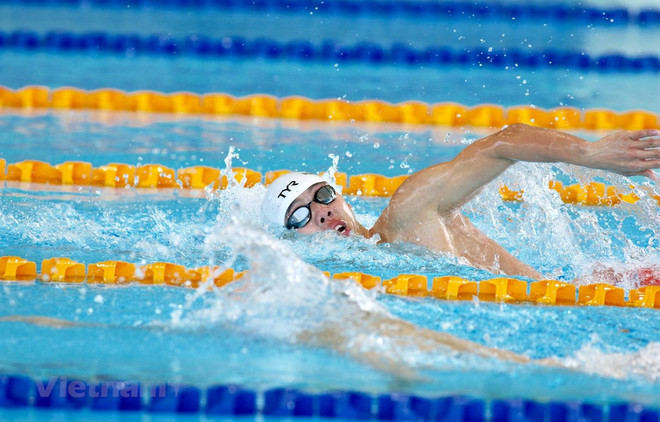 越南游泳队32名运动员报名参加第31届东运会游泳赛项 ảnh 1