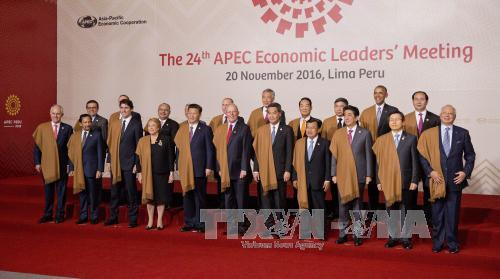 APEC成员国对越南2017年APEC会议抱有巨大期望 ảnh 1 APEC成员国对越南2017年APEC会议抱有巨大期望 ảnh 1