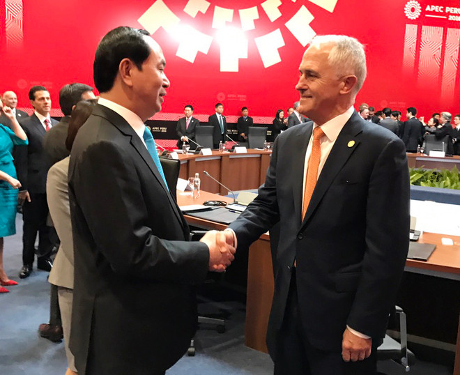 陈大光主席与各国元首和领导人举行双边会晤 ảnh 5