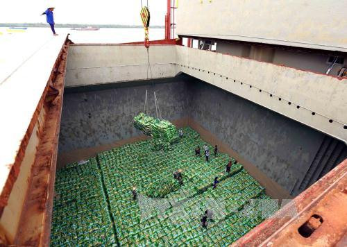 中国企业赴越南安江省了解稻米市场 ảnh 1 中国企业赴越南安江省了解稻米市场 ảnh 1