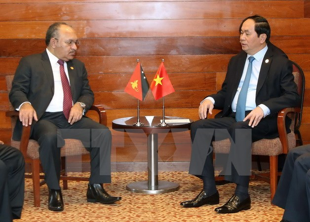 陈大光主席与各国元首和领导人举行双边会晤 ảnh 4