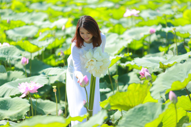 莲花给人一种美的享受，让人赏心悦目 ảnh 4