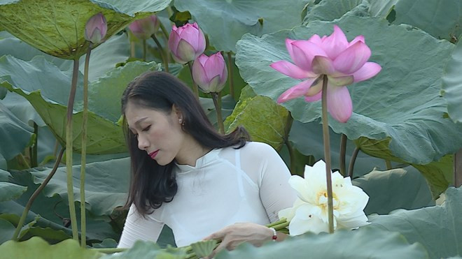 莲花给人一种美的享受，让人赏心悦目 ảnh 3