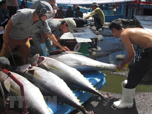 越南渔业着力完成年底目标任务 ảnh 1 越南渔业着力完成年底目标任务 ảnh 1