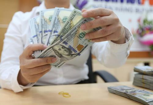 越南国家银行出台政策措施维护外汇市场和汇率的稳定 ảnh 1 越南国家银行出台政策措施维护外汇市场和汇率的稳定 ảnh 1