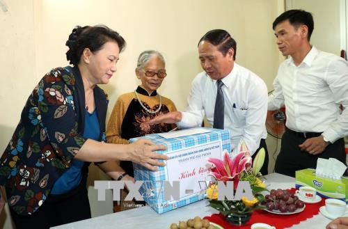 越南国会主席阮氏金银在海防市调研 ảnh 3 越南国会主席阮氏金银在海防市调研 ảnh 3