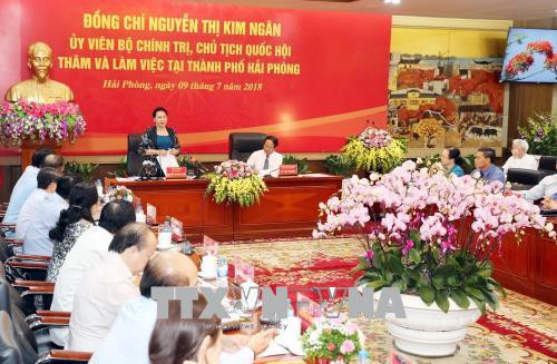 越南国会主席阮氏金银在海防市调研 ảnh 2 越南国会主席阮氏金银在海防市调研 ảnh 2